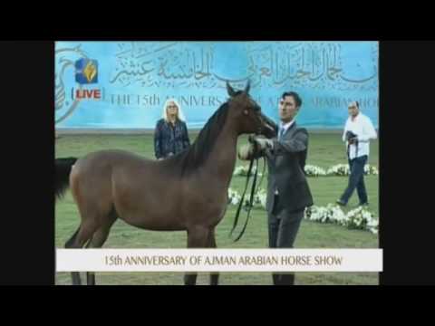 Ajman 2017 - Class 8A p1