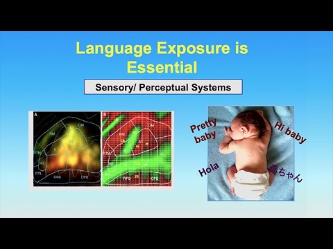 Differences in Language Development and Disorders - Impact of Early Life Deprivation - Paula Tallal