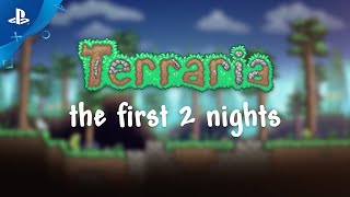 Terraria (Playstation Hits) video 1
