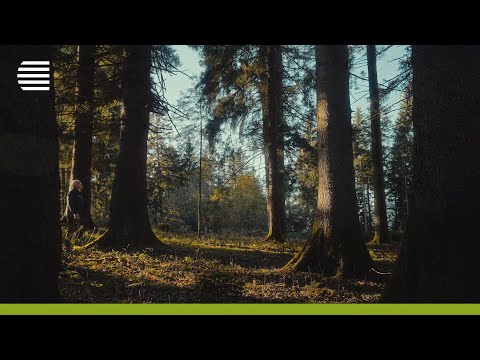 Pfeifer Group – Corporate Film (EN)