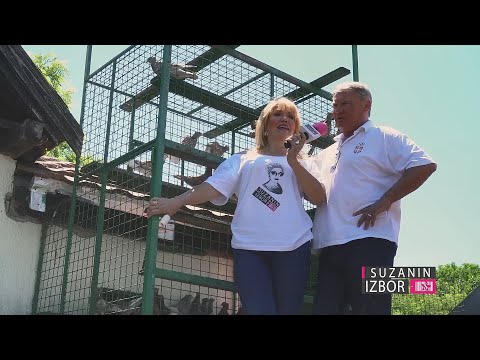 Suzanin izbor S06E298 - Strast golubarstva