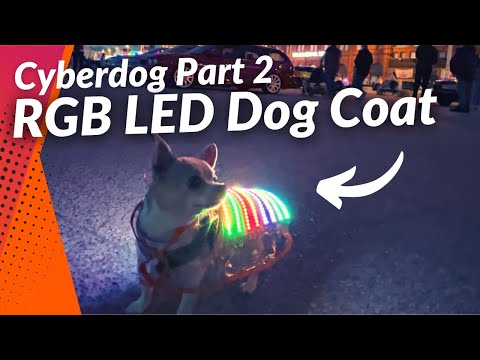 YouTube Thumbnail for Cyberdog Coat Build and Test - Did it work?