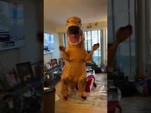 trex ting  ting tang dance / lee tinh dance / tinh tinh tinh tang tang dance - t-rex toronto