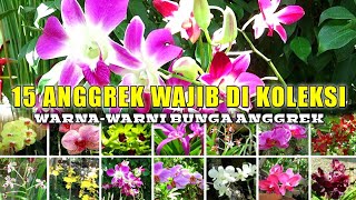 Download lagu 15 Jenis Nama Bunga Anggrek Yang Wajib Kamu Koleksi mp3