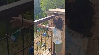 Download lagu #ytshorts #cute #hii #what #are #you #doing #can #come #play #please #puff #penquin #adorable #boy mp3