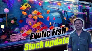 🔶 Exotic Fish Stock in uttam nagar New Delhi|fish shop in delhi|exotic fish shop in delhi✅