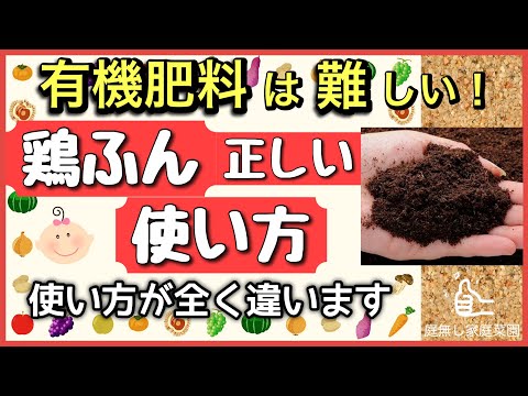 鶏糞を肥料として使用する: 庭の自然の驚異 + ビデオチュートリアル  庭園