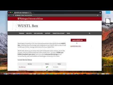 Wuslt Box
