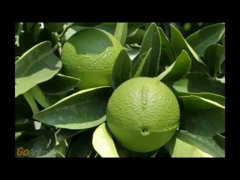 ARAMIS Classic Eau De Toilette Spray