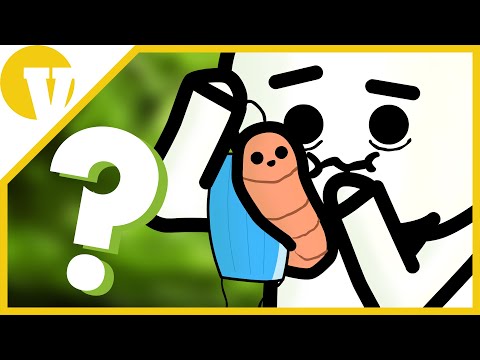 Féreg egy maszkban? | #JVS