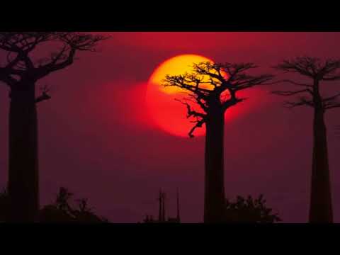 ENAM x MEKRA (MHV) || POWERFUL AFRICAN MEDITATION MUSIC
