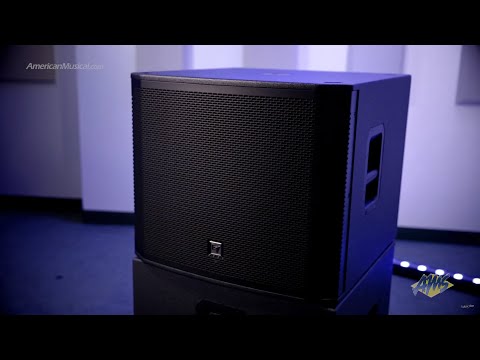 Electro Voice EKX18SP Powered 18in Subwoofer image 6