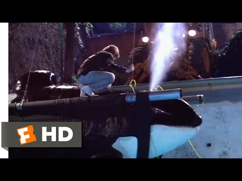 フリー・ウィリー (1993) - ハーネス・ウィリー・シーン (8/10) ｜Movieclips (Free Willy (1993) - Harnessing Willy Scene (8/10) | Movieclips)