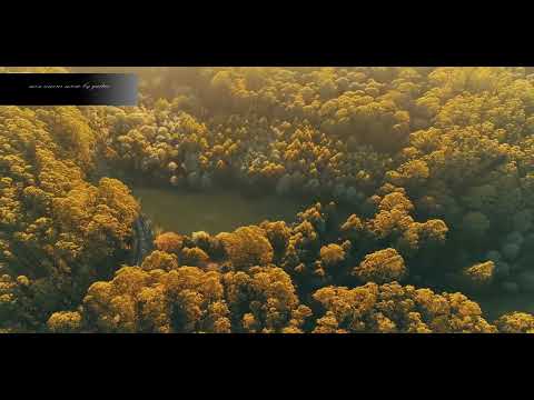Mon amour music by guitar موسيقى مونامور الرائعة