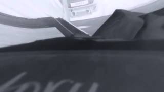 &quot;Sierra Maestra&quot; Immortal technique