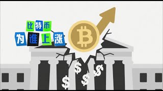 5月19日主权信用崩盘+暗中放水，比特币凭什么突破10.6万美元？