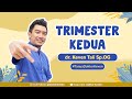 Fase Dan Gejala Kehamilan Di Trimester 2 Pada Ibu Hamil TanyaDokterKeven