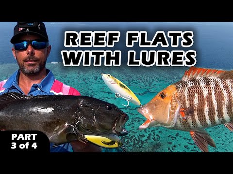 USING LURES ON THE REEF FLATS to catch Coral Trout, Red Throat Emperor on the Great Barrier Reef