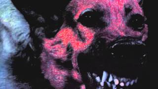 pagans - protomartyr