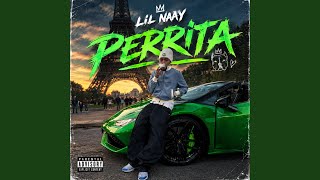 Lil naay perrita