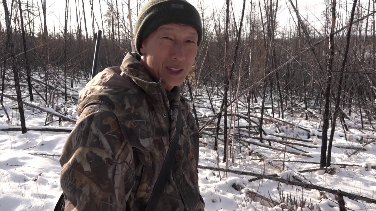 Охота на лося с собакой в Якутии
