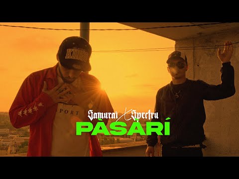 Samurai x Spectru - Pasari (Original Radio Edit)