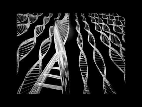 Reņģe, artis - gēni