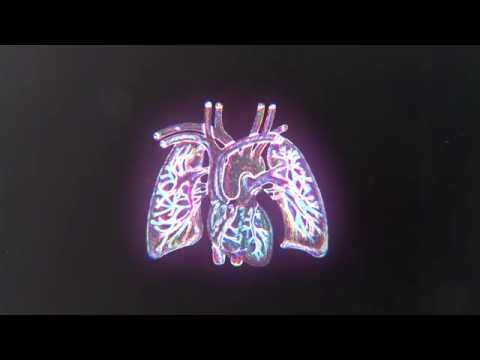 Grayson Gilmour - Silence & Youth (Music Video)