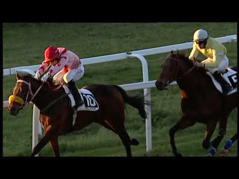 2019-12-29 Corsa 5 Metri 1500 Premio Ristorante L'Ippodromo