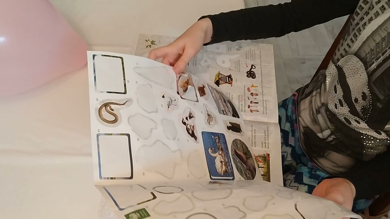 Przyroda Polski - książka z naklejkami