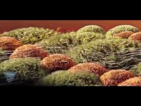 Timecop1983 - Lovers (feat. SEAWAVES)