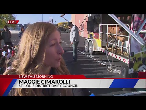 Gateway Elementary gives hands-on experience in dairy farming