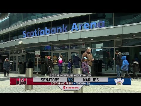 Senators vs. Marlies | Mar. 11, 2019