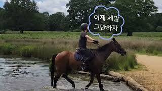 예쁜 공주가 개구쟁이 말을 만나면 이런 일이?? | Richmond Park 실화 동화🎀
