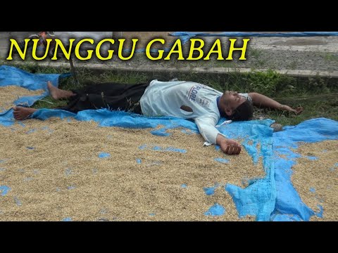 guyon-tanpo-waton-6-nunggu-gabah