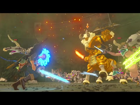 Golden Lynel + 9 Silver Enemies (No Damage) | BotW Coliseum All-stars Challenge "Beginning Trials"