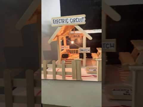 DIY Electric Circuit House project