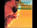 Shaggy - Island lover