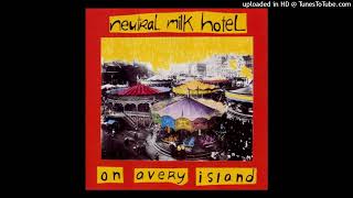 06. Where You&#39;ll Find Me Now - Neutral Milk Hotel - On Avery Island