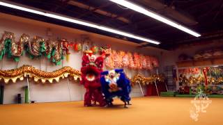 preview picture of video 'Toronto Wedding Lion Dance - Wushu Project - Practice Series Video 4'