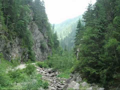 Dorel si Doru Sparios - Friss Csardas