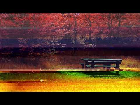 Ｒｉｃｋｙ　Ｍａｒｔｉｎ　－　Ｌｉｖｉｎ＇　Ｌａ　Ｖｉｄａ　Ｌｏｃａ　（Ｖａｐｏｒｗａｖｅ）