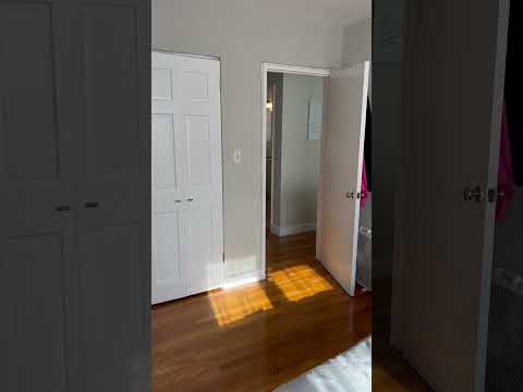 See YT Video!  No Fee!  Huge & Sunny Apt near Ts & Cleveland Cirlce.  Cat Friendly property video