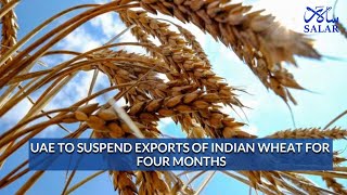 UAE to suspend exports of Indian wheat for four months
