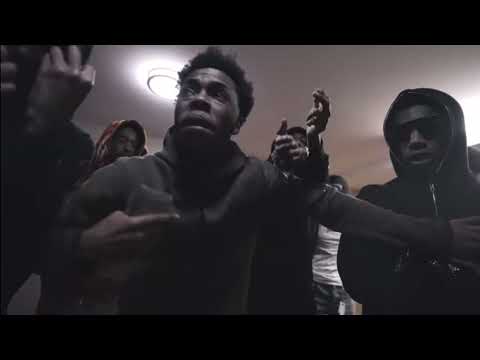 Mula gzz X bory 300 YGK