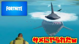 フォートナイトほぼ初プレイ！サメに盛大にやられました！ 今後しっかり精進します！ニンテンドースイッチ おもちゃんねるん たるのゲーム実況