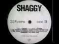 Shaggy-Marshall one & Amp 