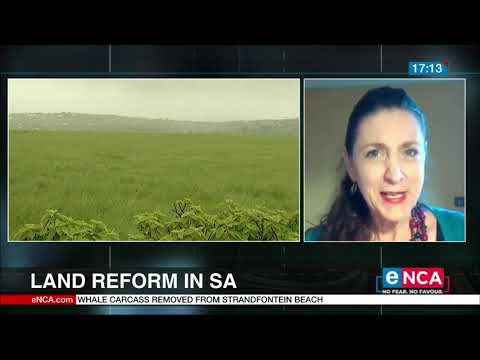Land Reform in South Africa Analysis