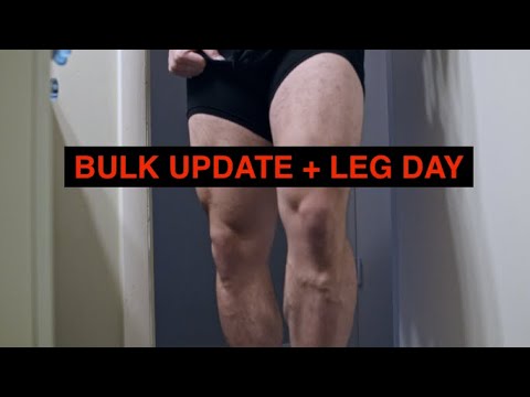Fall & Winter Bulk 2023 Update + Leg Day