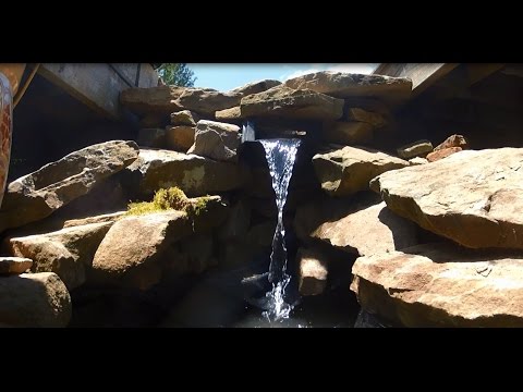 How to Easily Build a Small Pond - Time Lapse